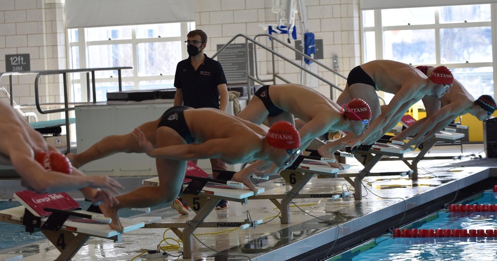 men's swimmers jumping of the starting blocks