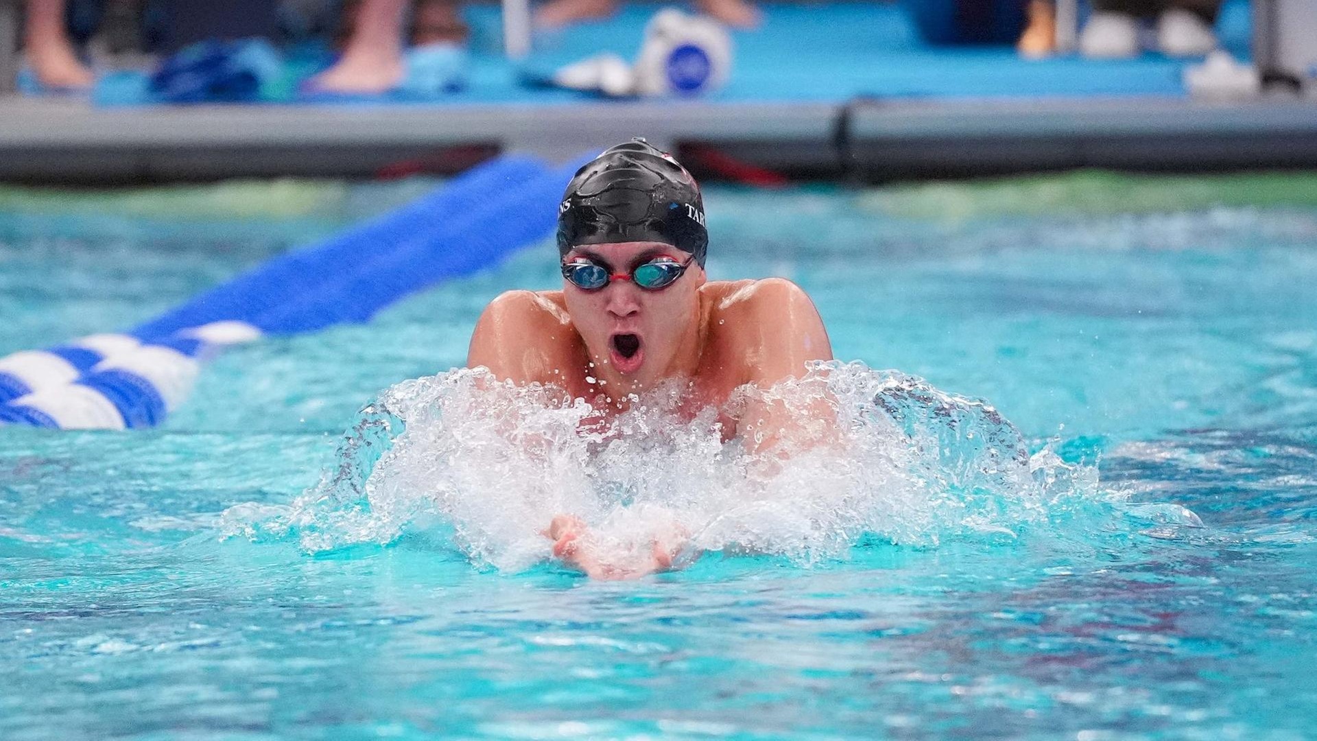 Tartans Win Three National Titles in Men's Swimming and Diving