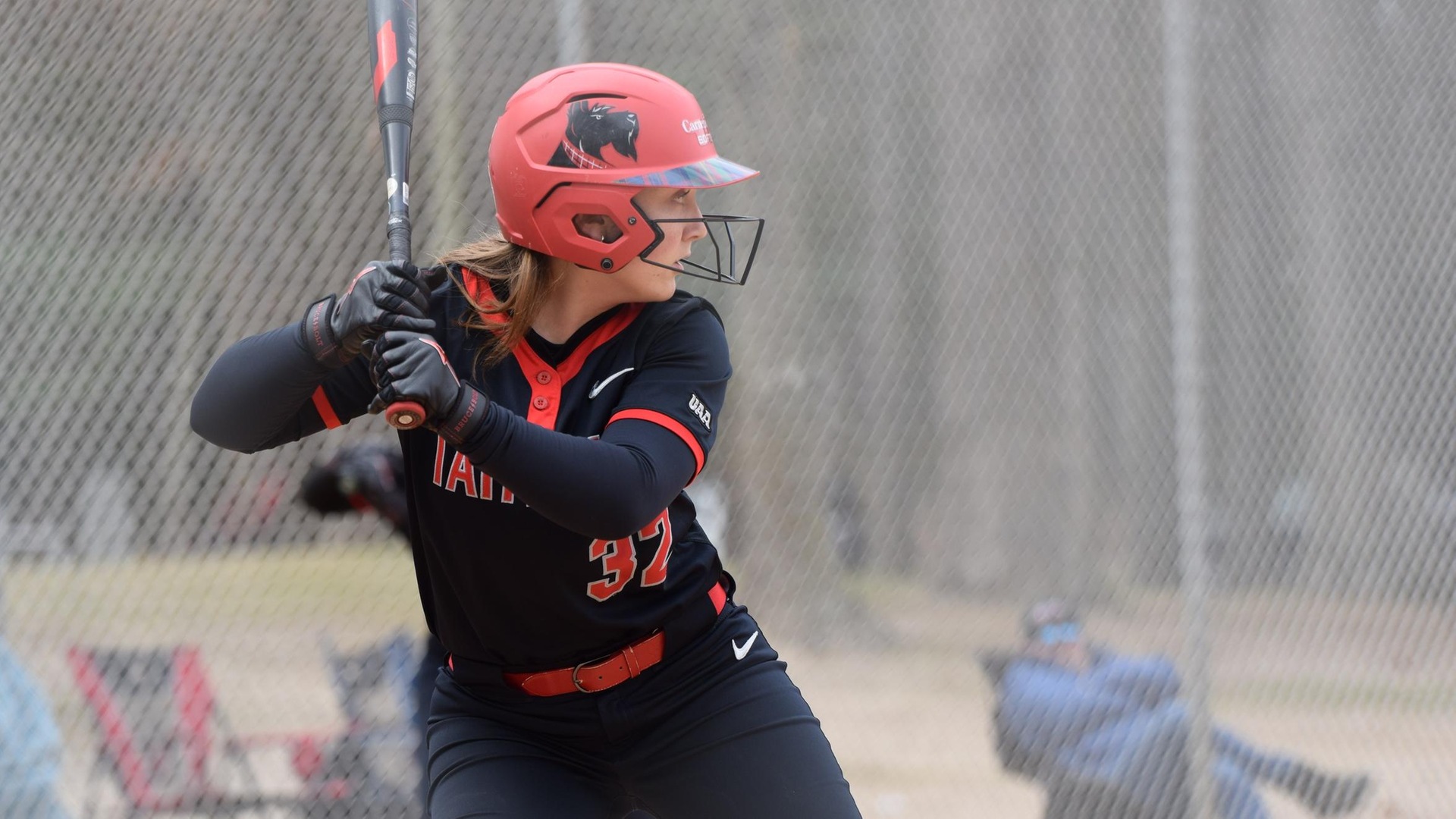 softball batter at the plate waiting for a pitch