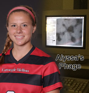 Brandt&rsquo;s Research Yields Great and Unexpected Results
