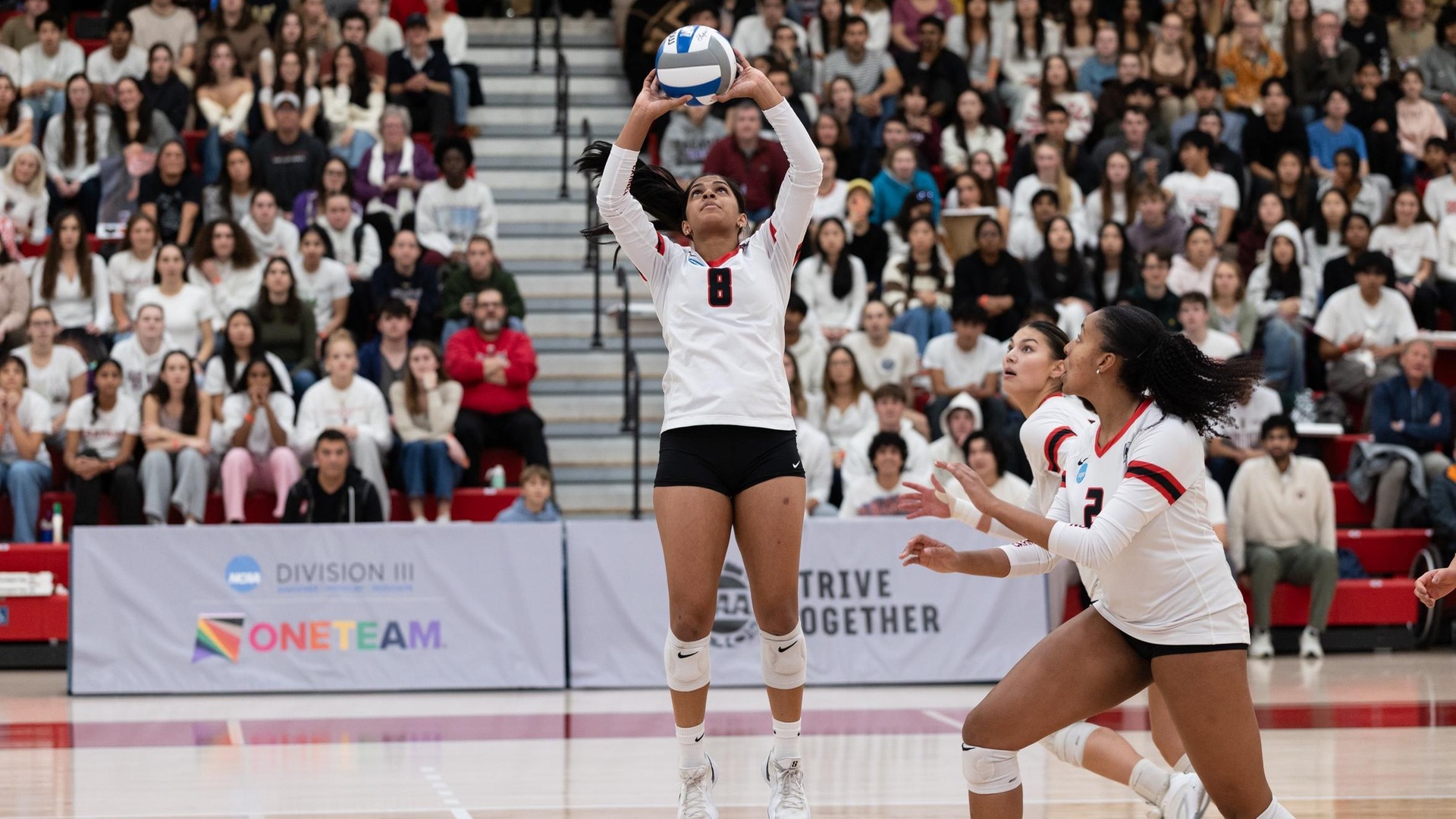 #23 Tartans Open NCAA Tournament with 3-0 Win