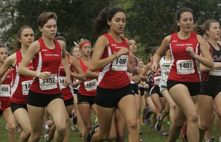 Tartans Place Seventh at Regional Meet