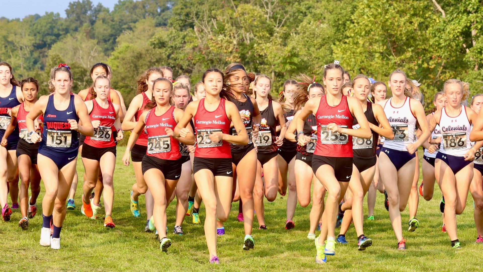 Tartans Place Sixth at UAA Championships