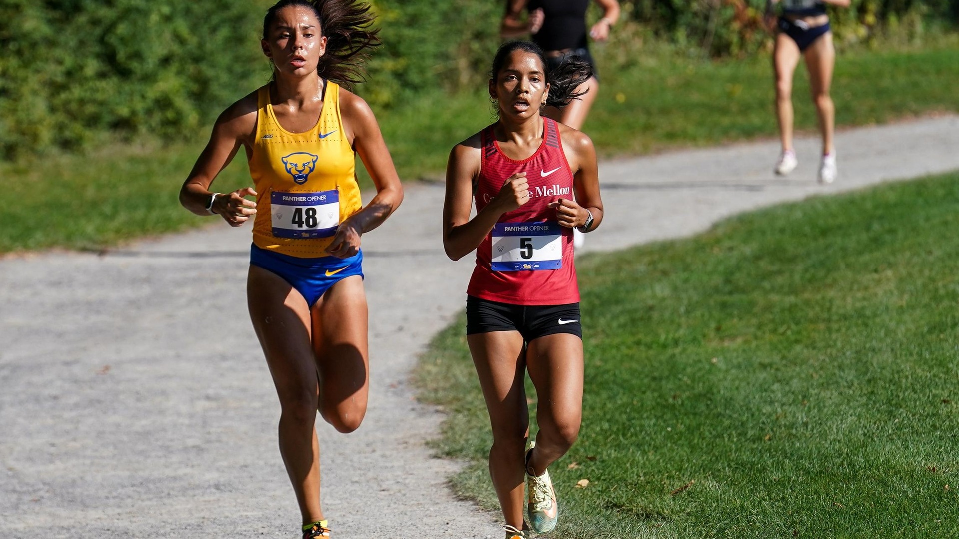 Tartans Take Fifth Place at UAA Championship